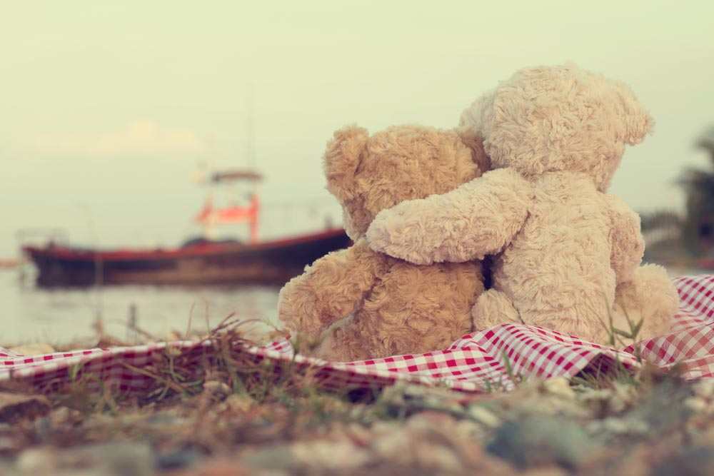 teddy day images