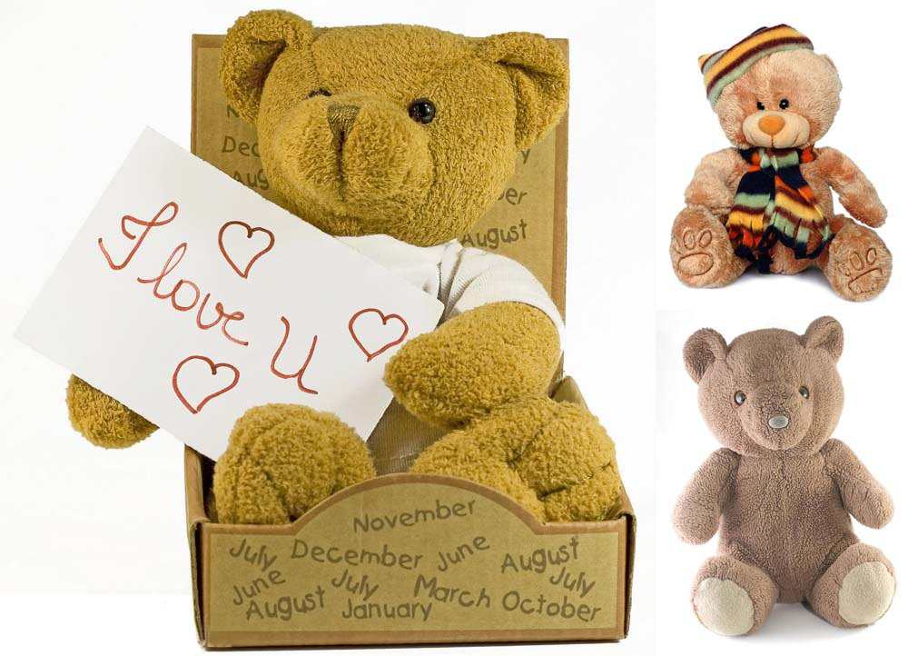 Teddy Bear images 2025