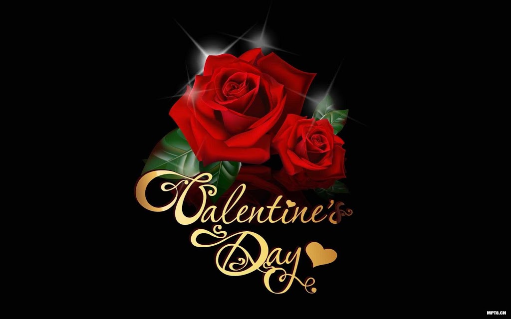 Valentine Rose Day