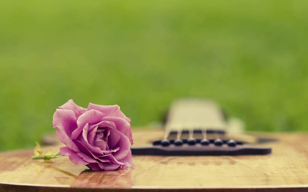 Happy Rose Day 2025
