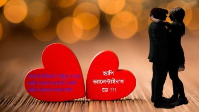 Valentine Day বাংলা SMS