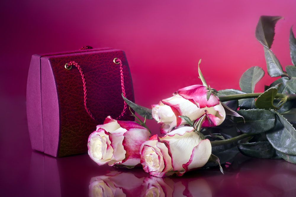 Happy Rose Day Quotes