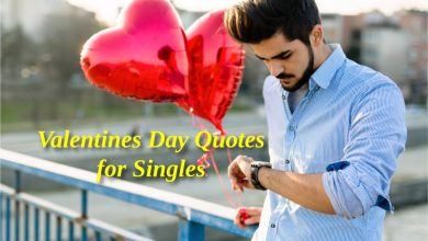 Valentines Day Quotes for Singles