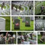 Memorial Day images