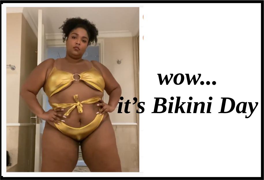 National Bikini Day Meme