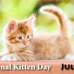 National Kitten Day