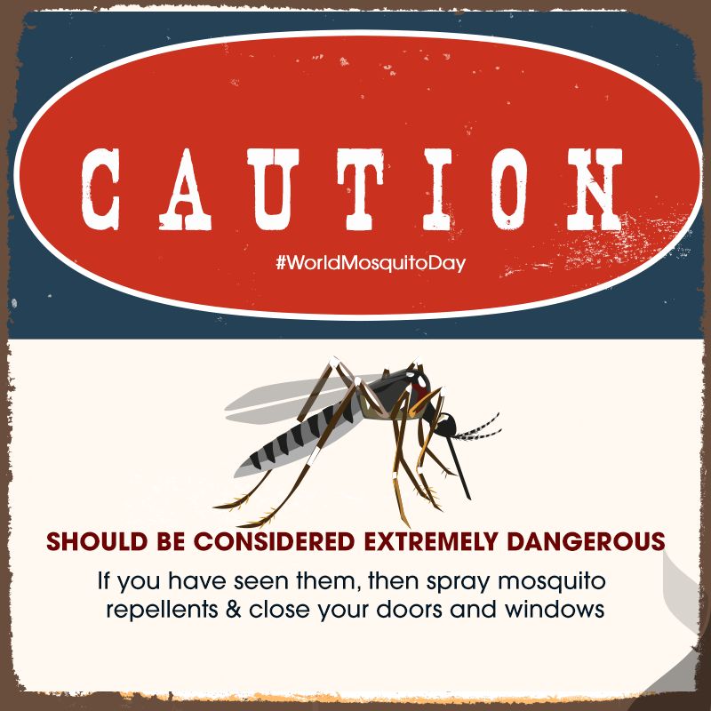 Mosquito Day Messages