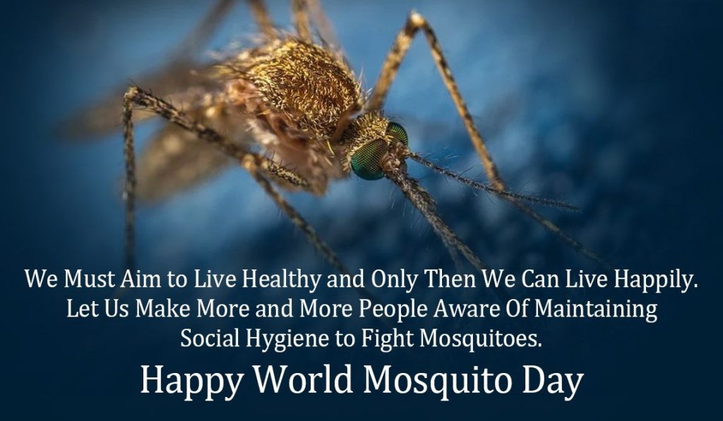 World Mosquito Day Quote