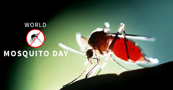 Mosquito Day sms