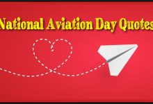 National Aviation Day Quotes