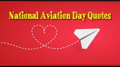 National Aviation Day Quotes