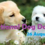 National Dog Day