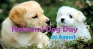 National Dog Day