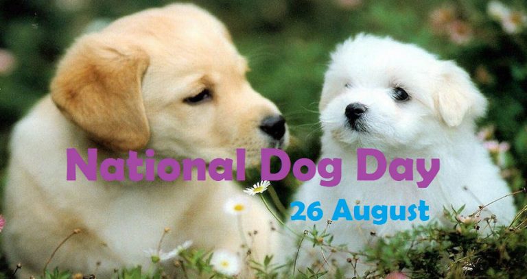 National Dog Day
