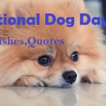 National Dog Day Wishes
