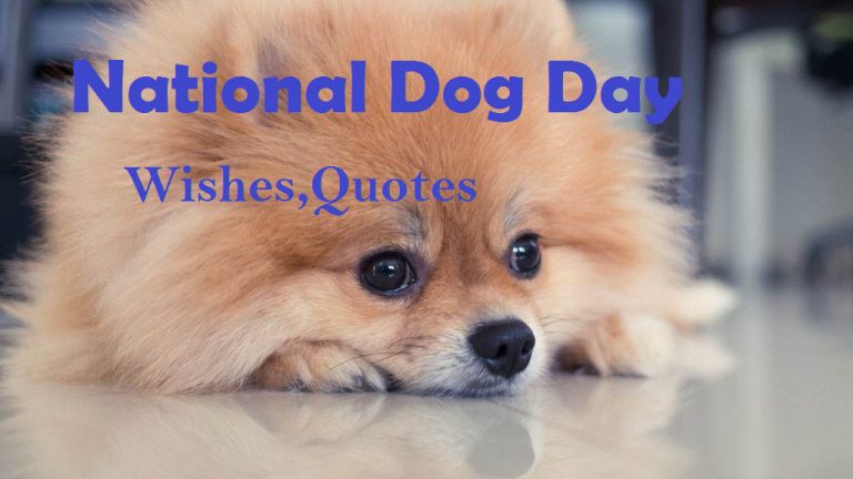 National Dog Day Wishes