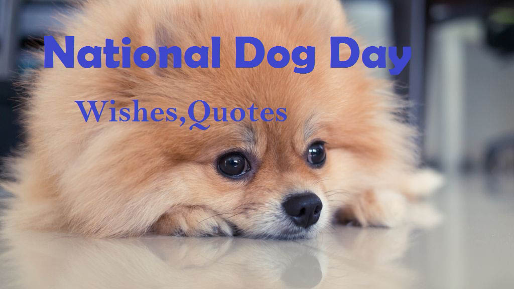 National Dog Day Wishes