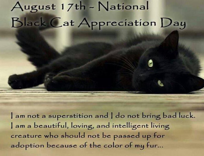 Black Cat Appreciation Day