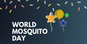 World Mosquito Day
