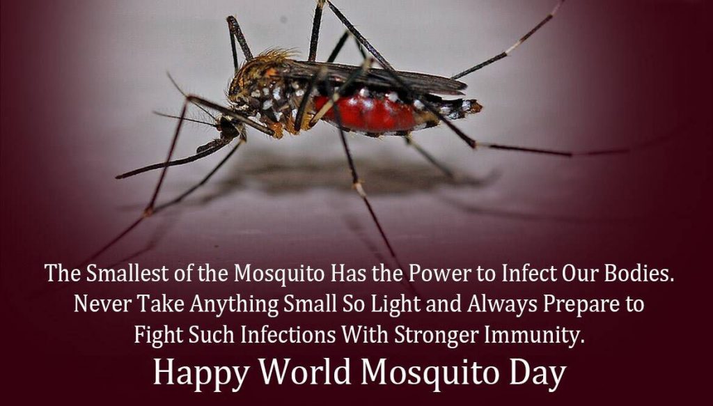 World Mosquito Day Quote