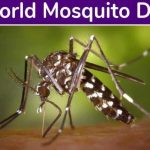 World Mosquito Day pic