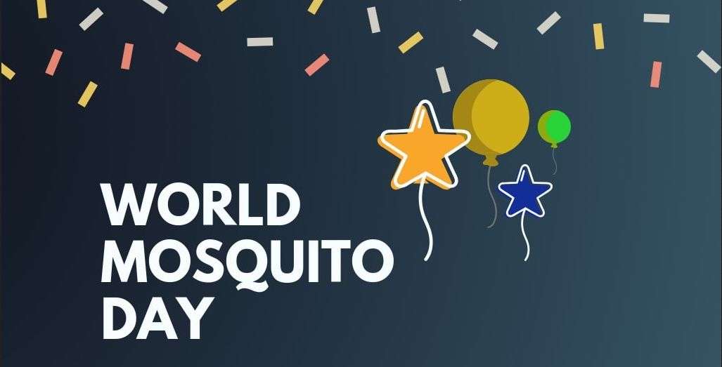 World Mosquito Day