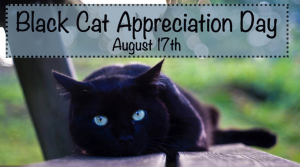 Black Cat Appreciation Day