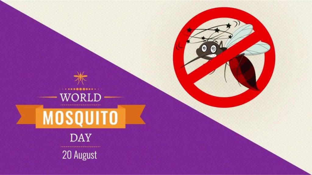 world mosquitos day