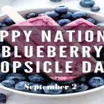 National Blueberry Popsicle Day