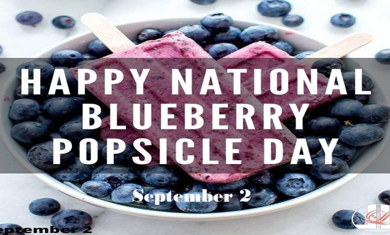 National Blueberry Popsicle Day