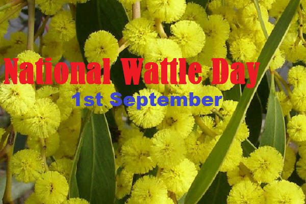 National Wattle Day