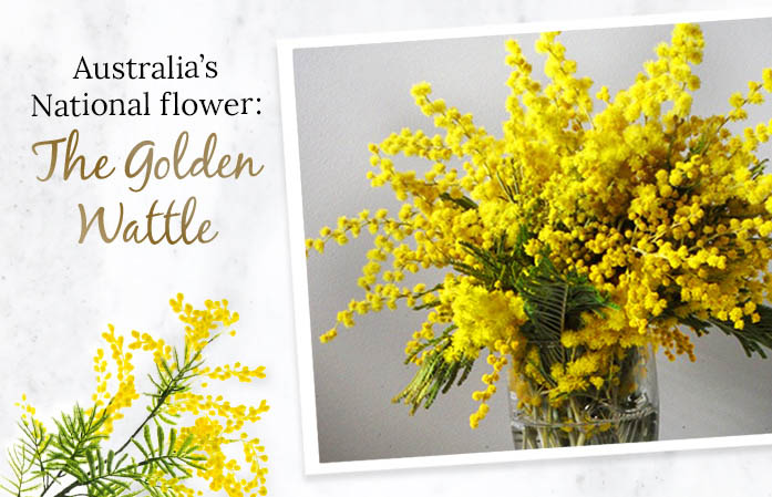 National Wattle Day