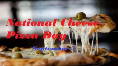 National Cheese Pizza Day