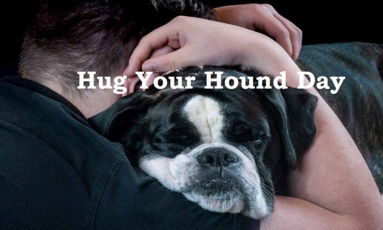 hug your hound day pic