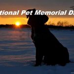 National Pet Memorial Day Photo