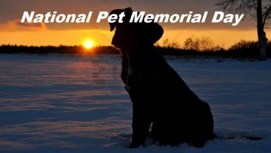 National Pet Memorial Day Photo