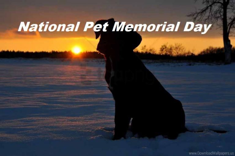 National Pet Memorial Day Photo