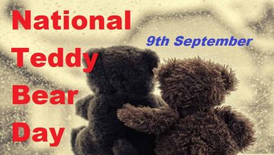 National Teddy Bear Day CoverPhoto