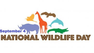 National Wildlife Day Cover Photo