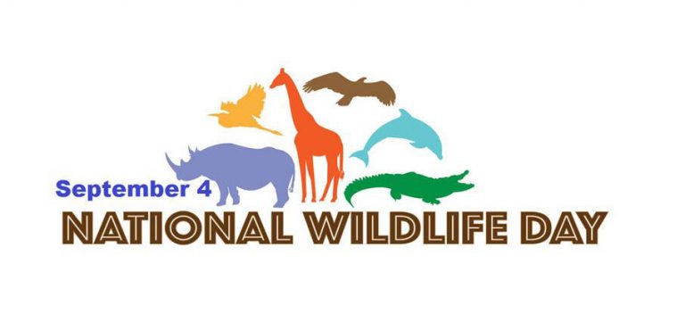 National Wildlife Day Cover Photo