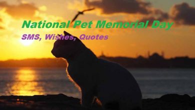 Pet Memorial Day Wishes