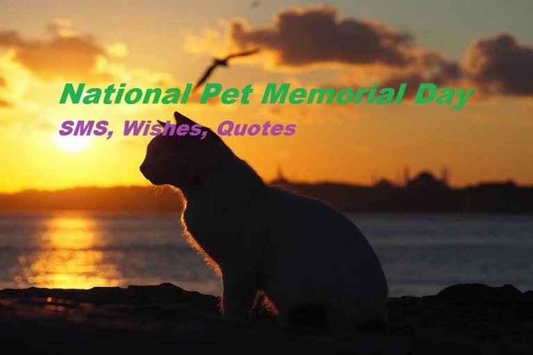 Pet Memorial Day Wishes