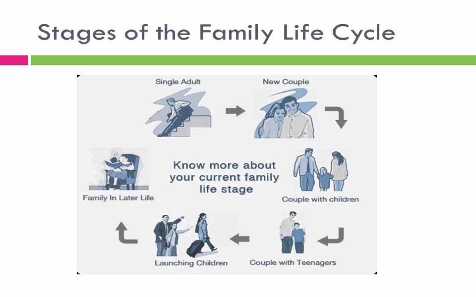 The Family Life Cycle