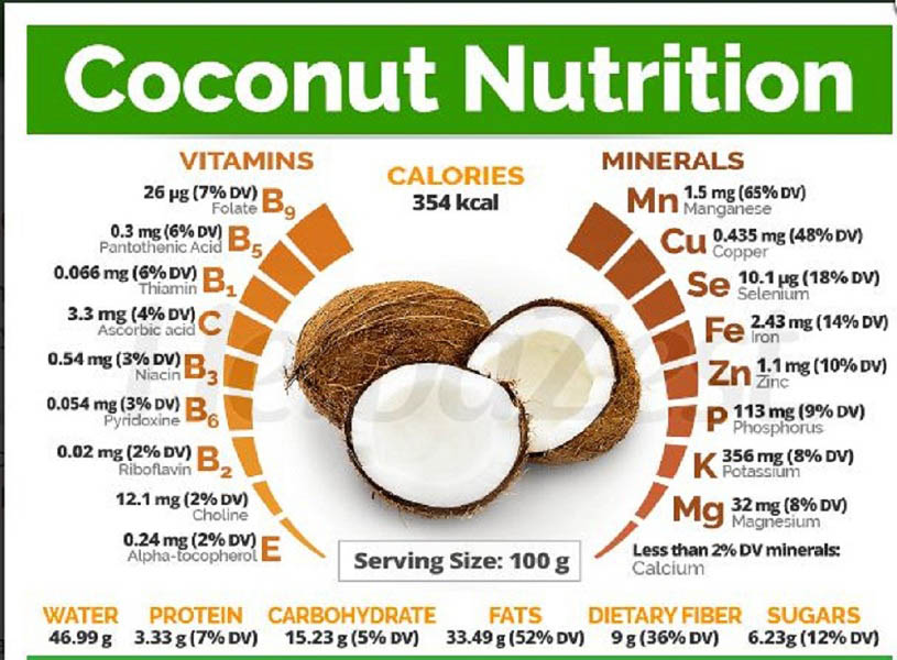 World Coconut Day Ingredients