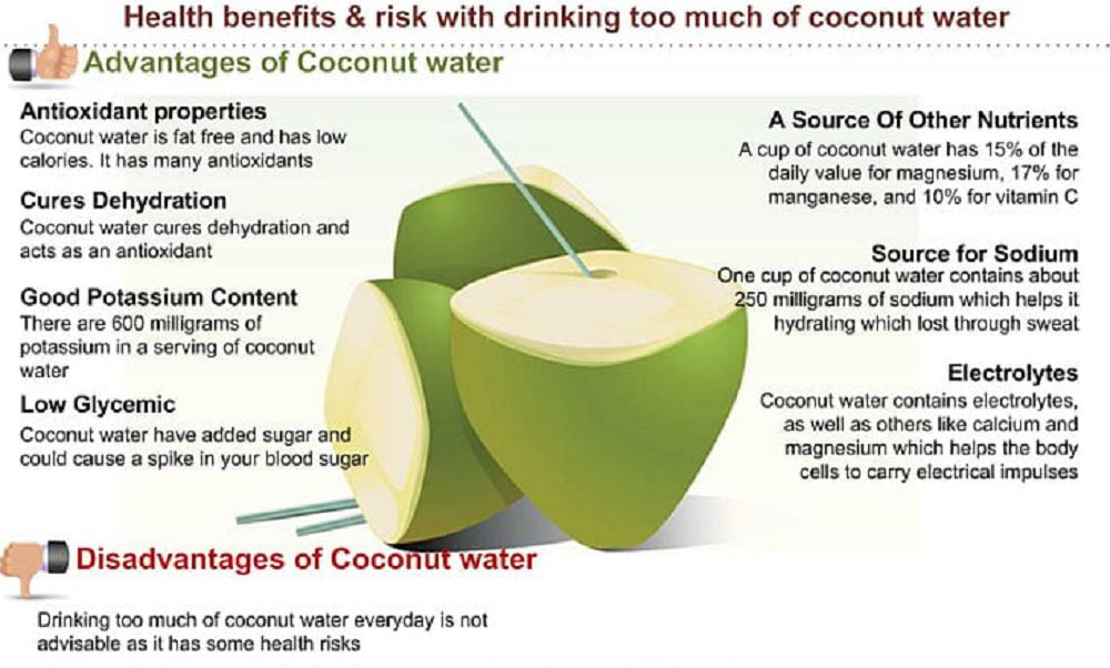 World Coconut Day Pros and Corns.