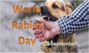 World Rabies Day