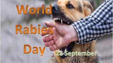 World Rabies Day