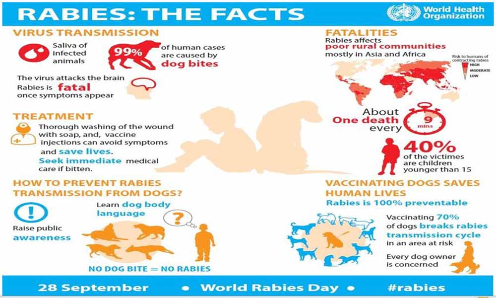 World Rabies Day Facts