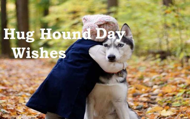 hug-your-hound-day Wishes