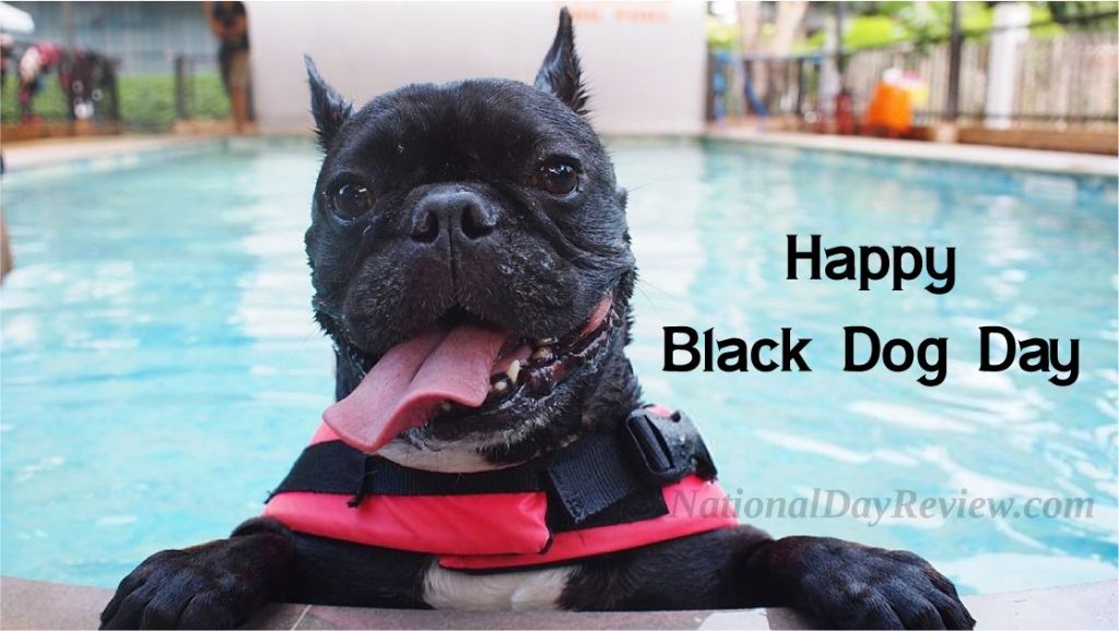 National Black Dog Day Images